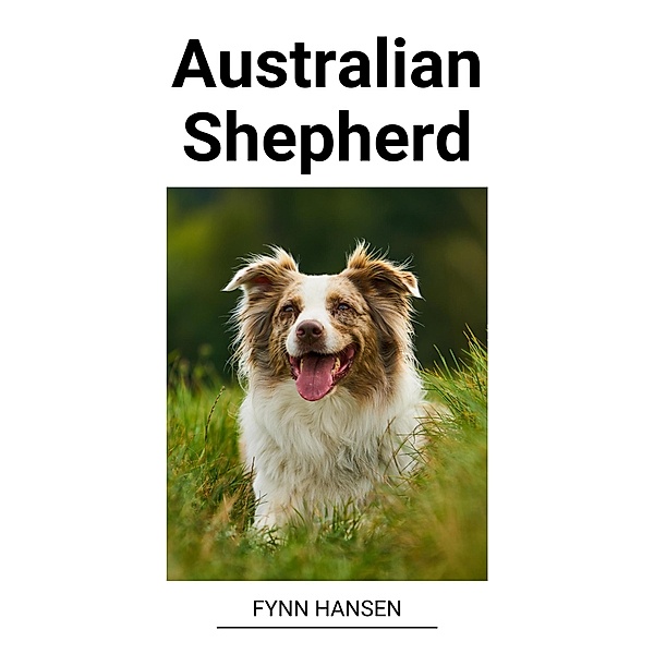 Australian Shepherd, Fynn Hansen
