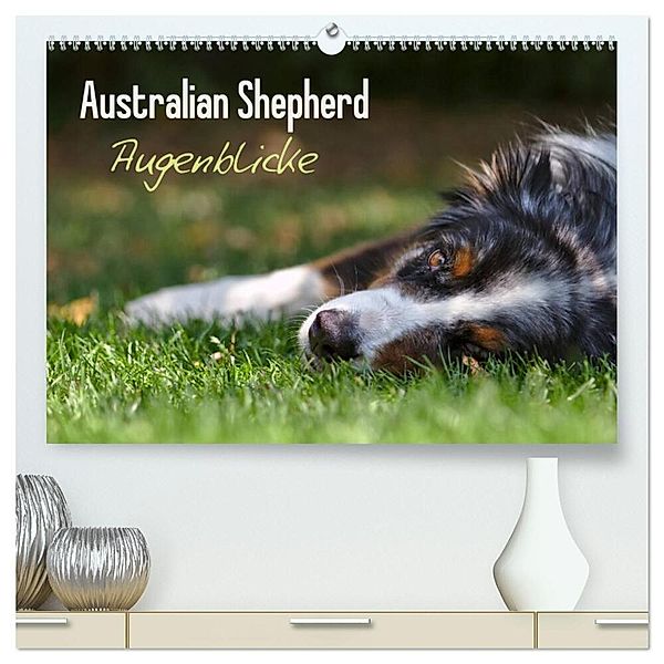 Australian Shepherd - Augenblicke (hochwertiger Premium Wandkalender 2024 DIN A2 quer), Kunstdruck in Hochglanz, David Andrey