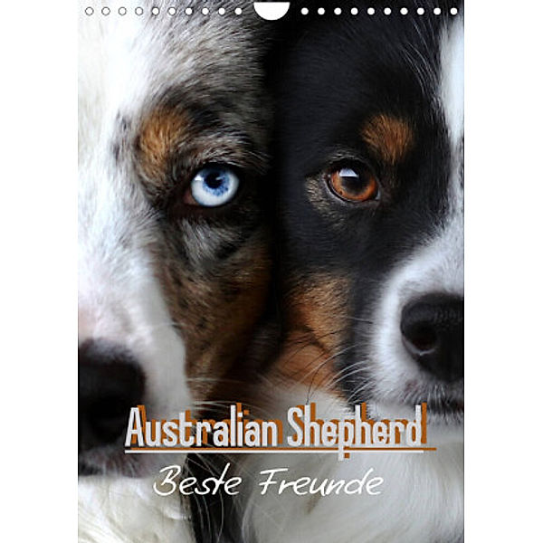 Australian Shepherd - Beste Freunde (Wandkalender 2022 DIN A4 hoch), Youlia