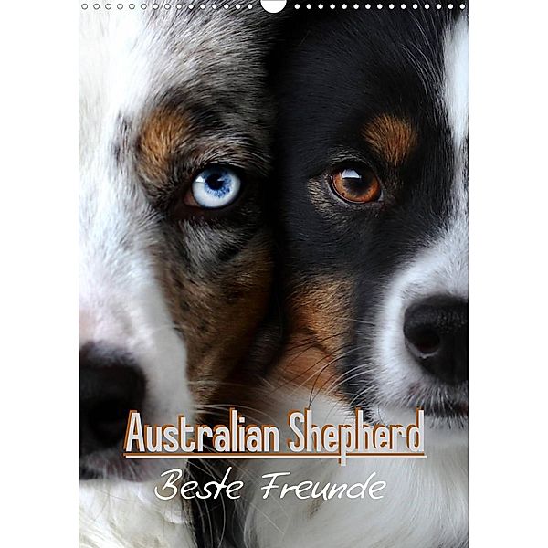 Australian Shepherd - Beste Freunde (Wandkalender 2023 DIN A3 hoch), Youlia