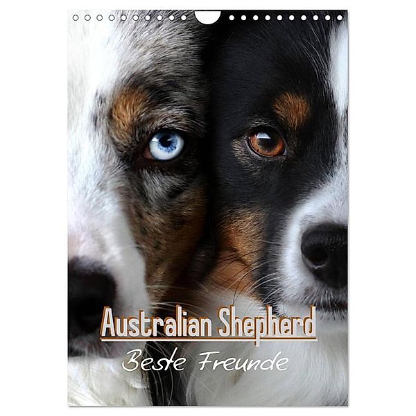 Australian Shepherd - Beste Freunde (Wandkalender 2024 DIN A4 hoch), CALVENDO Monatskalender, Youlia
