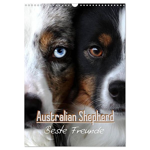 Australian Shepherd - Beste Freunde (Wandkalender 2024 DIN A3 hoch), CALVENDO Monatskalender, Youlia