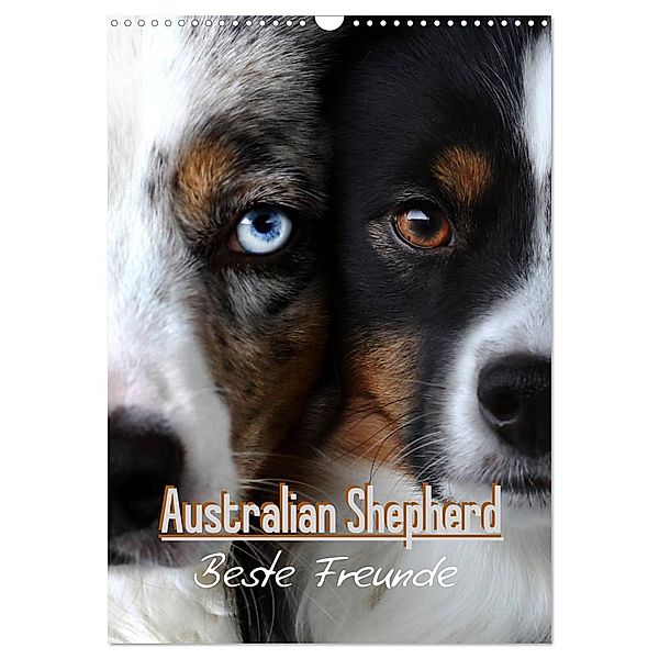 Australian Shepherd - Beste Freunde (Wandkalender 2025 DIN A3 hoch), CALVENDO Monatskalender, Calvendo, Youlia