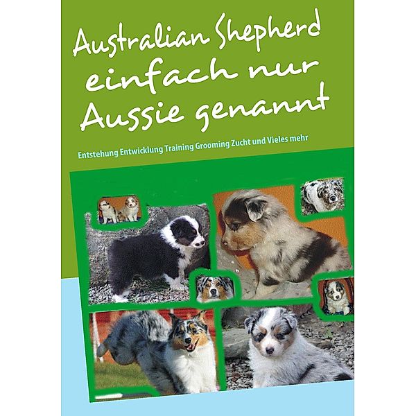 Australian Shepherd einfach nur Aussie genannt, Bettina Birkner