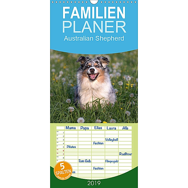 Australian Shepherd - Familienplaner hoch (Wandkalender 2019 , 21 cm x 45 cm, hoch), Annett Mirsberger