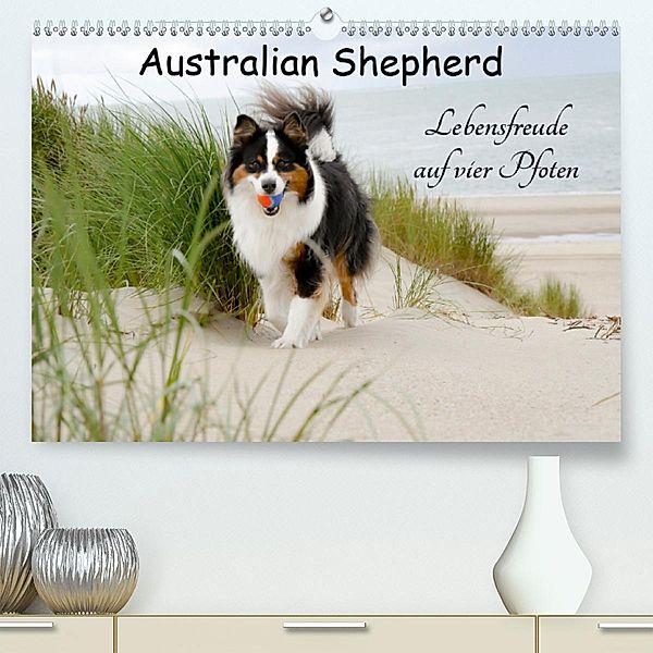 Australian Shepherd - Lebensfreude auf vier Pfoten (Premium, hochwertiger DIN A2 Wandkalender 2020, Kunstdruck in Hochgl, Miriam Nozulak