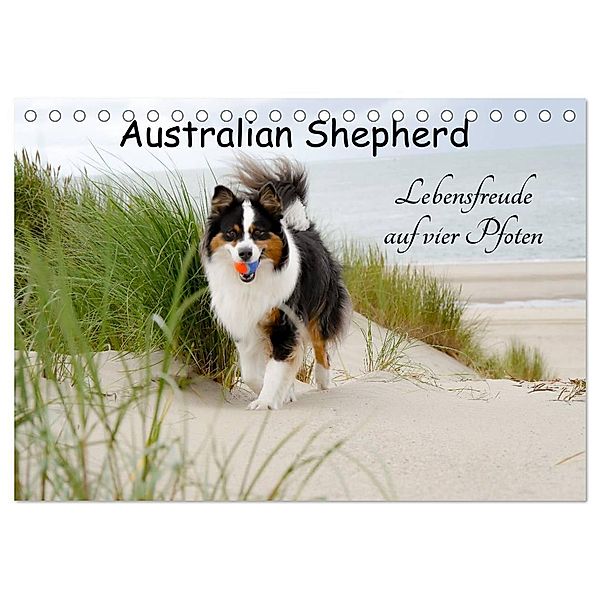 Australian Shepherd - Lebensfreude auf vier Pfoten (Tischkalender 2024 DIN A5 quer), CALVENDO Monatskalender, Miriam Nozulak
