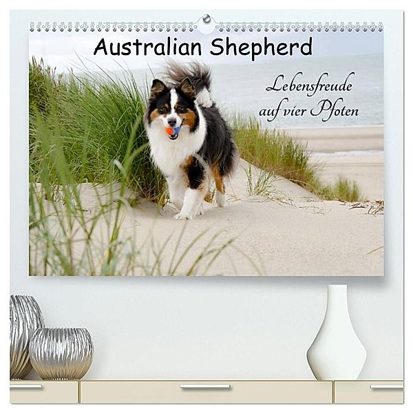 Australian Shepherd - Lebensfreude auf vier Pfoten (hochwertiger Premium Wandkalender 2024 DIN A2 quer), Kunstdruck in Hochglanz, Miriam Nozulak