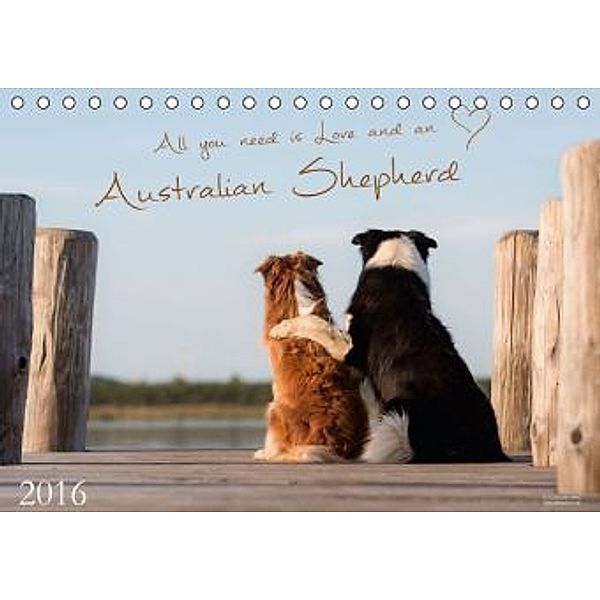 Australian Shepherd Liebe auf 4 Pfoten (Tischkalender 2016 DIN A5 quer), Tina Schäfer