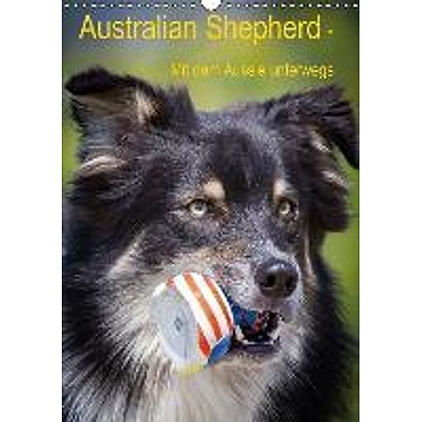Australian Shepherd Mit dem Aussie unterwegs (Wandkalender 2015 DIN A3 hoch), Andrea Mayer