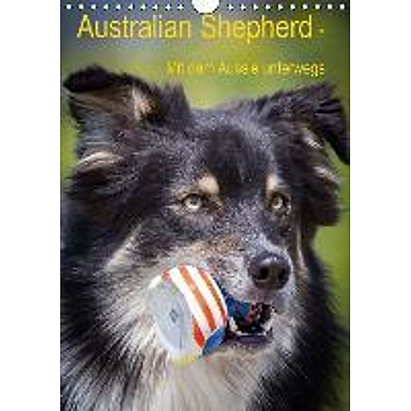 Australian Shepherd Mit dem Aussie unterwegs (Wandkalender 2015 DIN A4 hoch), Andrea Mayer