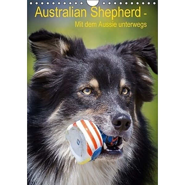 Australian Shepherd - Mit dem Aussie unterwegs (Wandkalender 2017 DIN A4 hoch), Andrea Mayer, Andrea Mayer Tierfotografie