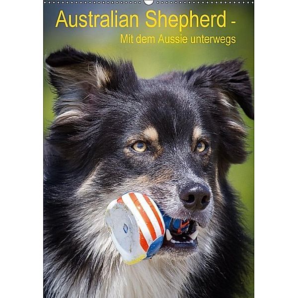 Australian Shepherd - Mit dem Aussie unterwegs (Wandkalender 2017 DIN A2 hoch), Andrea Mayer, Andrea Mayer Tierfotografie