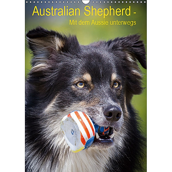 Australian Shepherd - Mit dem Aussie unterwegs (Wandkalender 2019 DIN A3 hoch), Andrea Mayer, Andrea Mayer Tierfotografie