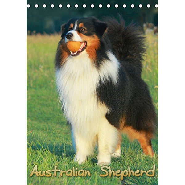 Australian Shepherd (Tischkalender 2022 DIN A5 hoch), Barbara Mielewczyk