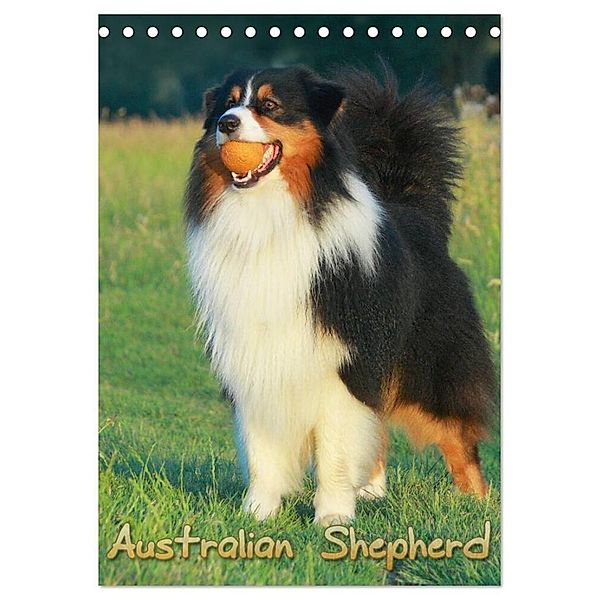 Australian Shepherd (Tischkalender 2024 DIN A5 hoch), CALVENDO Monatskalender, Barbara Mielewczyk