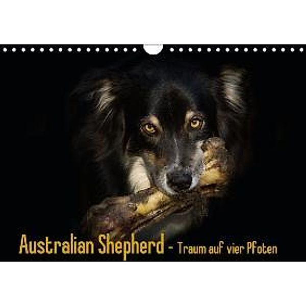 Australian Shepherd - Traum auf vier Pfoten (Wandkalender 2016 DIN A4 quer), Andrea Mayer