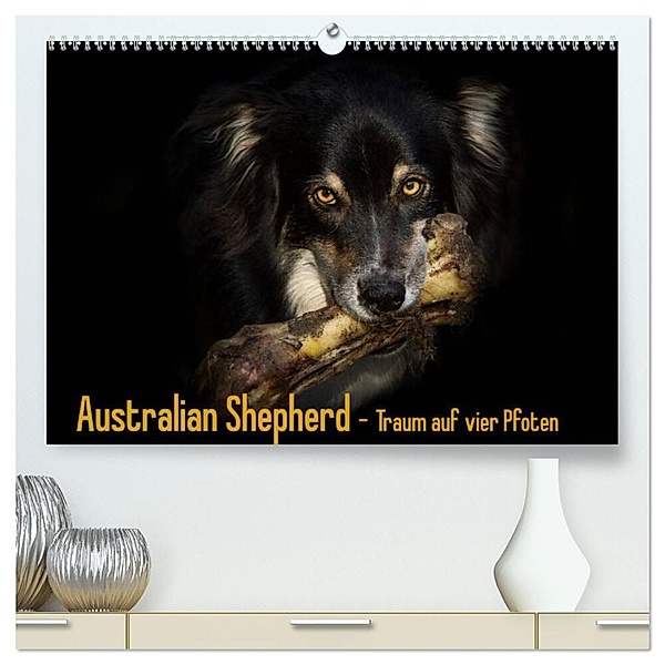 Australian Shepherd - Traum auf vier Pfoten (hochwertiger Premium Wandkalender 2024 DIN A2 quer), Kunstdruck in Hochglanz, Andrea Mayer Tierfotografie