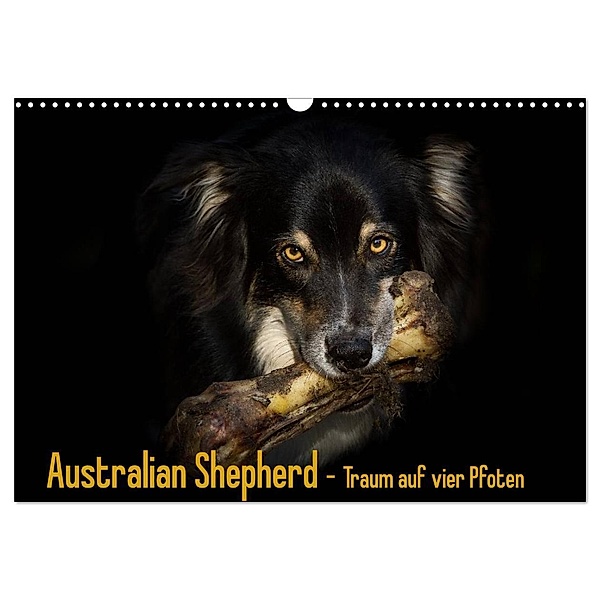 Australian Shepherd - Traum auf vier Pfoten (Wandkalender 2024 DIN A3 quer), CALVENDO Monatskalender, Andrea Mayer Tierfotografie
