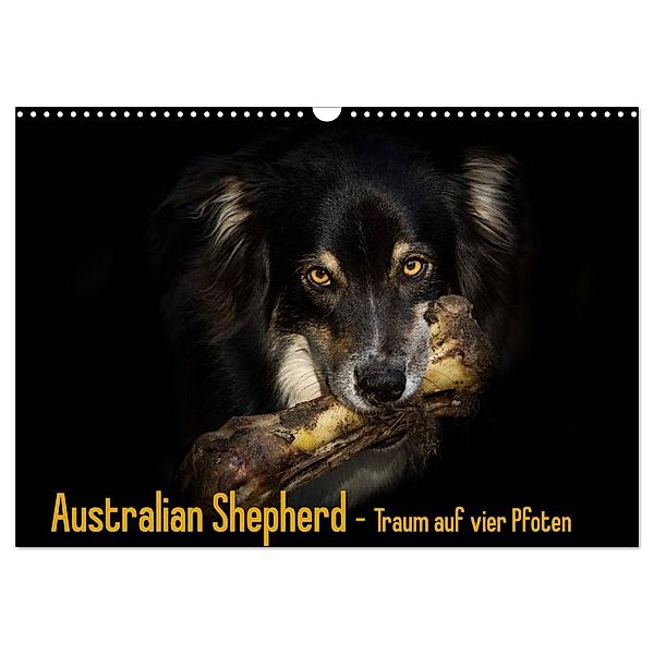Australian Shepherd - Traum auf vier Pfoten (Wandkalender 2025 DIN A3 quer), CALVENDO Monatskalender, Calvendo, Andrea Mayer Tierfotografie