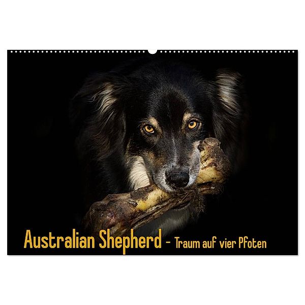 Australian Shepherd - Traum auf vier Pfoten (Wandkalender 2025 DIN A2 quer), CALVENDO Monatskalender, Calvendo, Andrea Mayer Tierfotografie