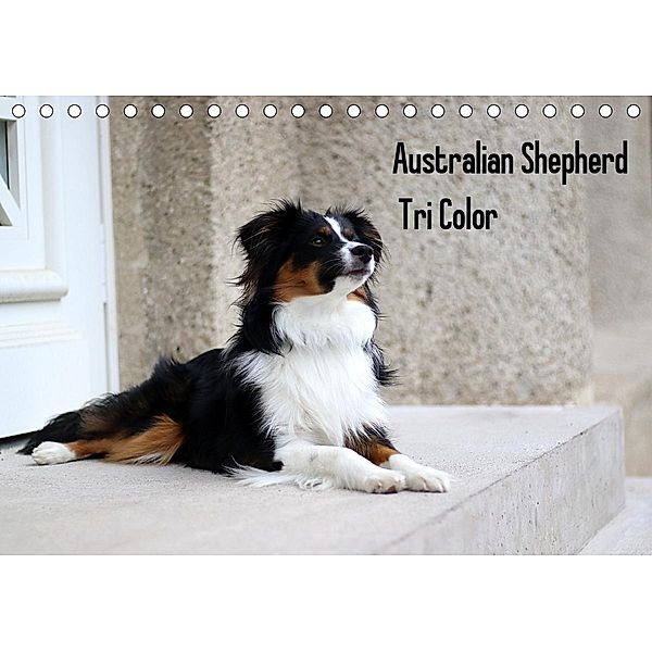 Australian Shepherd Tri Color (Tischkalender 2020 DIN A5 quer)