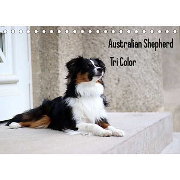 Australian Shepherd Tri Color (Tischkalender 2022 DIN A5 quer), Youlia