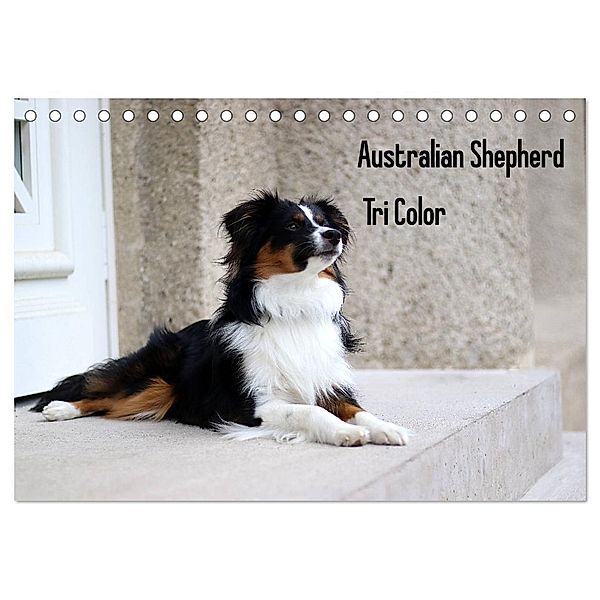 Australian Shepherd Tri Color (Tischkalender 2025 DIN A5 quer), CALVENDO Monatskalender, Calvendo, Youlia