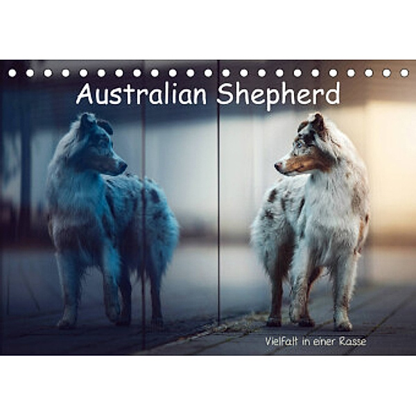 Australian Shepherd - Vielfalt in einer Rasse (Tischkalender 2022 DIN A5 quer), Sabrina Wobith Photography
