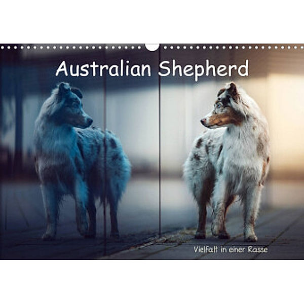 Australian Shepherd - Vielfalt in einer Rasse (Wandkalender 2022 DIN A3 quer), Sabrina Wobith Photography