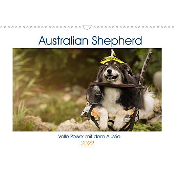 Australian Shepherd - volle Power mit dem Aussie (Wandkalender 2022 DIN A3 quer), Andrea Mayer Tierfotografie