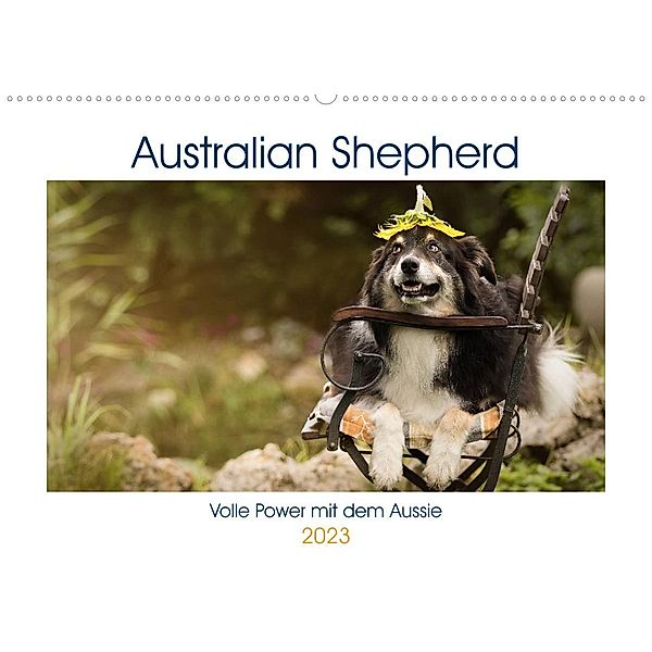 Australian Shepherd - volle Power mit dem Aussie (Wandkalender 2023 DIN A2 quer), Andrea Mayer Tierfotografie