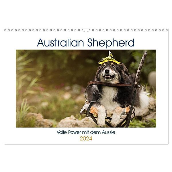 Australian Shepherd - volle Power mit dem Aussie (Wandkalender 2024 DIN A3 quer), CALVENDO Monatskalender, Andrea Mayer Tierfotografie