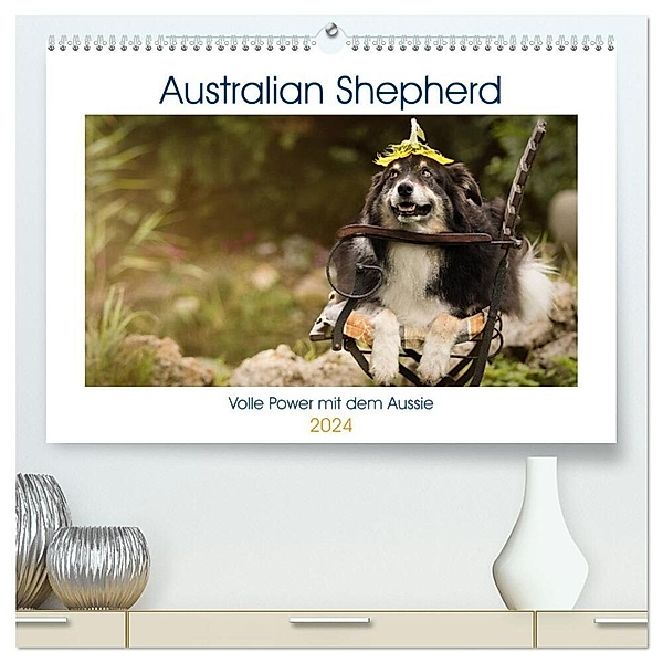 Australian Shepherd - volle Power mit dem Aussie (hochwertiger Premium Wandkalender 2024 DIN A2 quer), Kunstdruck in Hochglanz, Andrea Mayer Tierfotografie