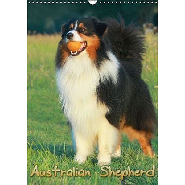 Australian Shepherd (Wandkalender 2014 DIN A3 hoch), Barbara Mielewczyk
