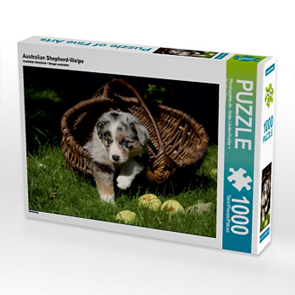 Australian Shepherd-Welpe (Puzzle)