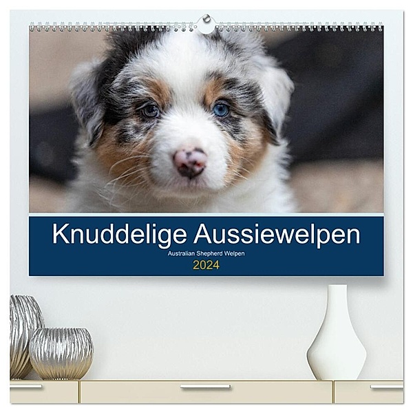Australian Shepherd Welpen 2024 (hochwertiger Premium Wandkalender 2024 DIN A2 quer), Kunstdruck in Hochglanz, Annett Mirsberger www.annettmirsberger.de