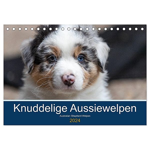 Australian Shepherd Welpen 2024 (Tischkalender 2024 DIN A5 quer), CALVENDO Monatskalender, Annett Mirsberger www.annettmirsberger.de