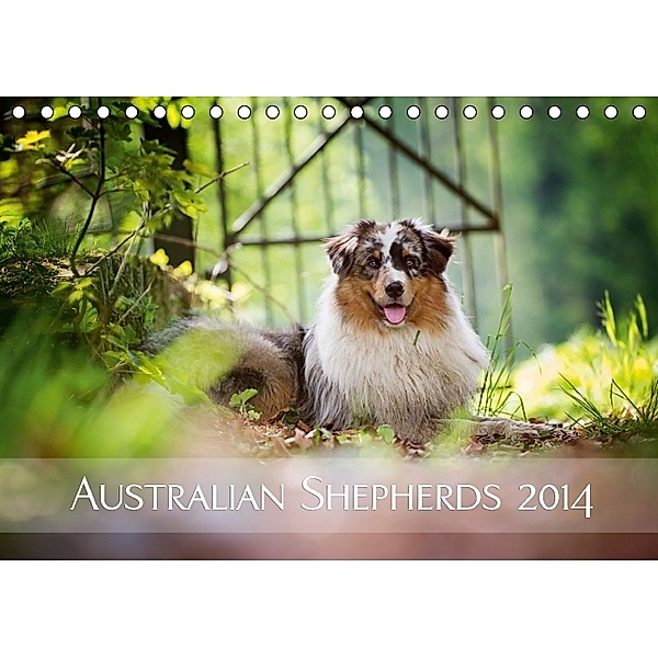 Australian Shepherds 2014 (Tischkalender 2014 DIN A5 quer), Nicole Noack