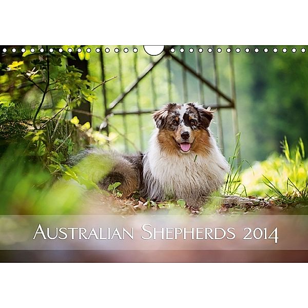 Australian Shepherds 2014 (Wandkalender 2014 DIN A4 quer), Nicole Noack