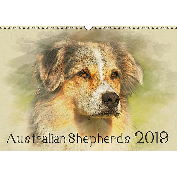 Australian Shepherds 2019 (Wandkalender 2019 DIN A3 quer), Andrea Redecker