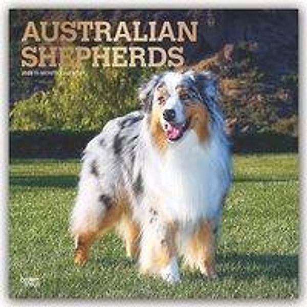 Australian Shepherds 2020, BrownTrout Publisher
