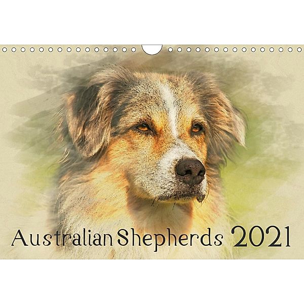 Australian Shepherds 2021 (Wandkalender 2021 DIN A4 quer), Andrea Redecker