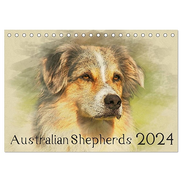 Australian Shepherds 2024 (Tischkalender 2024 DIN A5 quer), CALVENDO Monatskalender, Andrea Redecker