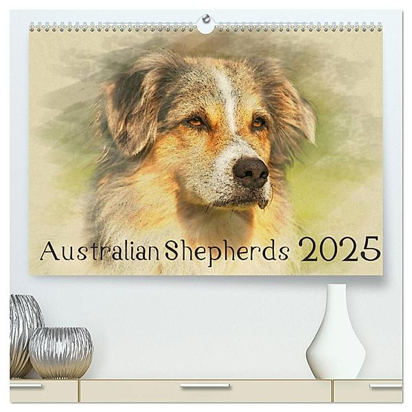 Australian Shepherds 2025 (hochwertiger Premium Wandkalender 2025 DIN A2 quer), Kunstdruck in Hochglanz, Calvendo, Andrea Redecker