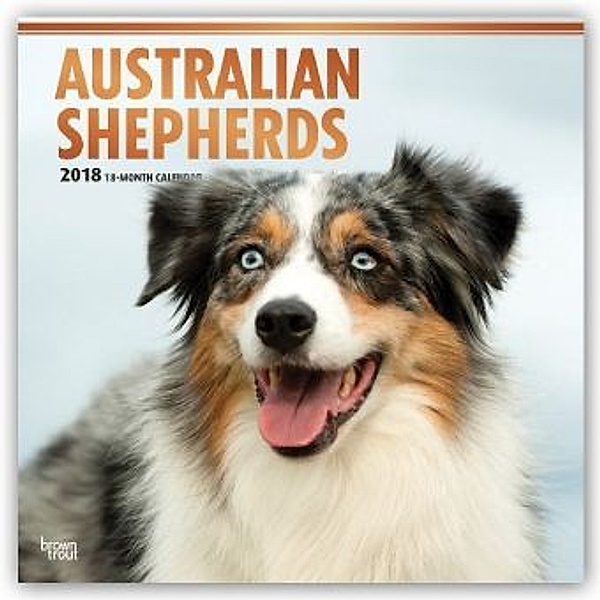 Australian Shepherds - Australische Schäferhunde 2018 - 18-Monatskalender mit freier DogDays-App, BrownTrout Publisher