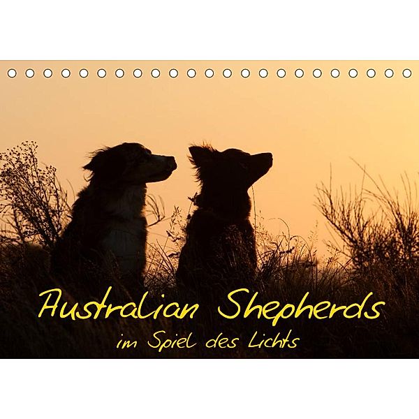 Australian Shepherds im Spiel des Lichts (Tischkalender 2023 DIN A5 quer), Angela Münzel-Hashish - www.tierphotografie.com