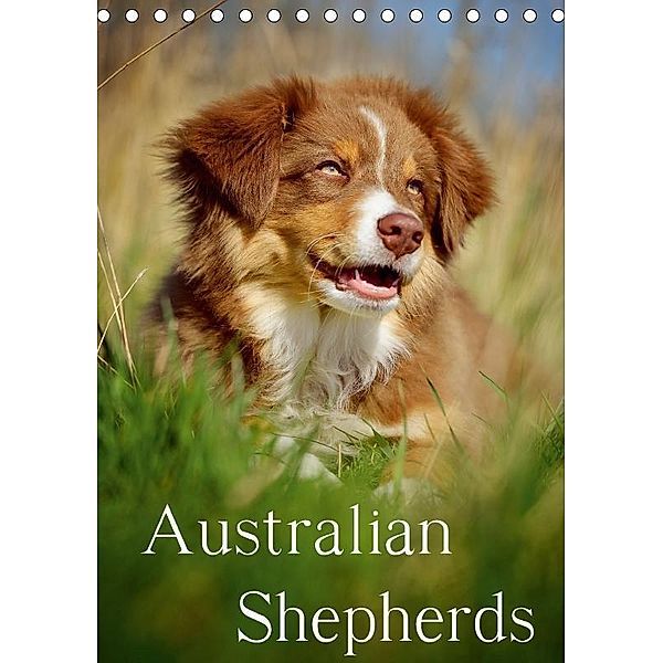 Australian Shepherds (Tischkalender 2017 DIN A5 hoch), Nicole Noack