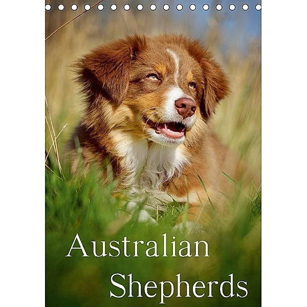 Australian Shepherds (Tischkalender 2018 DIN A5 hoch), Nicole Noack