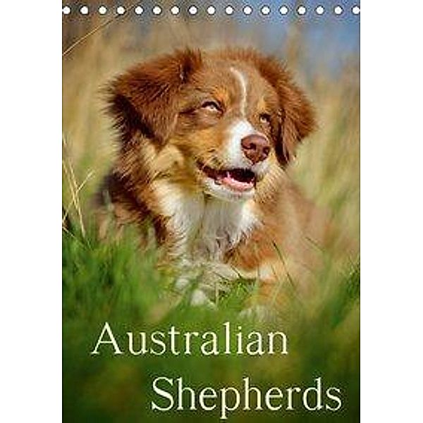 Australian Shepherds (Tischkalender 2020 DIN A5 hoch), Nicole Noack